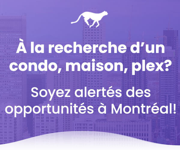 proprio alerte montréal